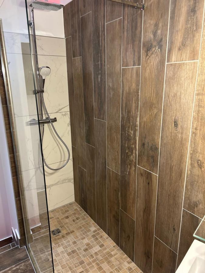 Chambre La Suite Pres Gare Grenoble Eksteriør bilde
